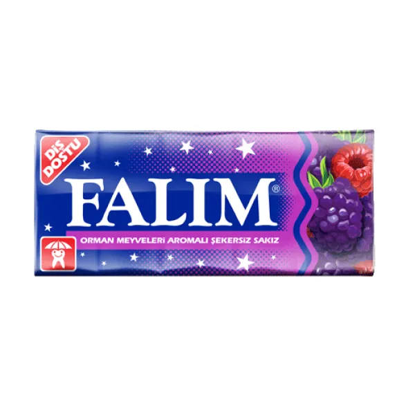 Falım Işıl Sugar Free Cheving Gum Forest Fruit 5 pc