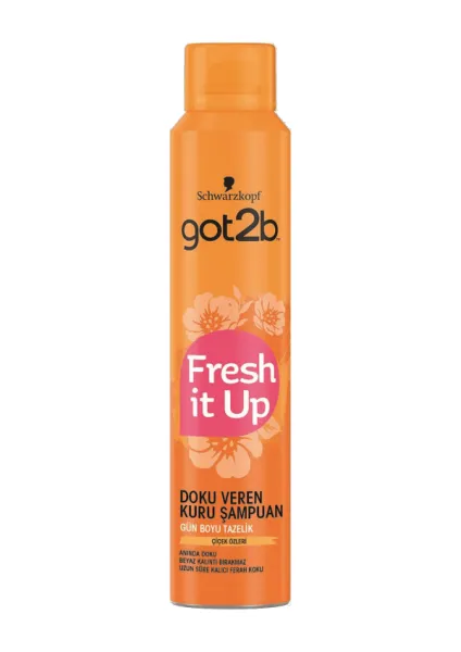 Got2Be Fresh It Up Texture-Giving Dry Shampoo 200 ml
