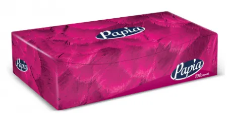 Papia Tissue Box 100 pc