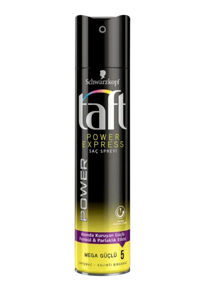 Taft Spray Power Express 250 ml
