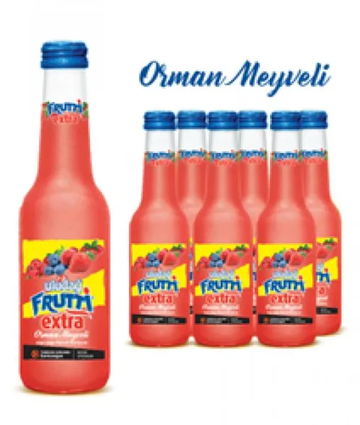 Uludağ Extra Mineral Water with Fruit Water Forest Fruit 250 ml
