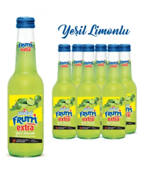 Uludağ Extra Mineral Water with Fruit Water Green Lemon 250 ml