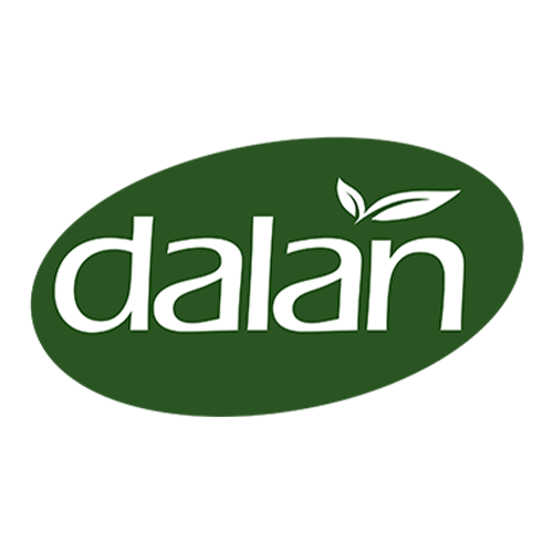 Dalan