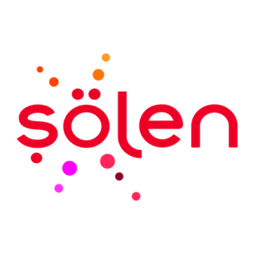 Şölen